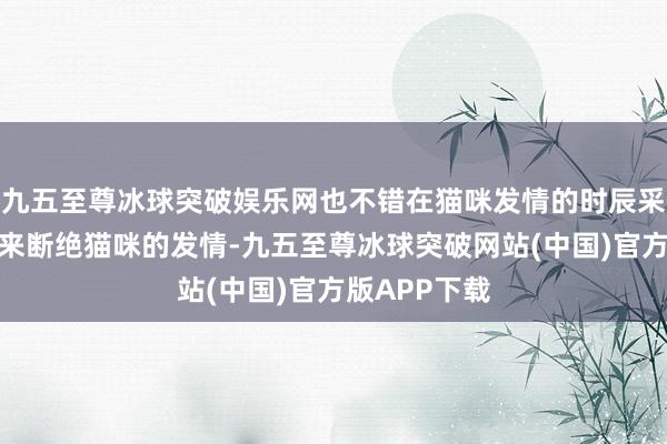 九五至尊冰球突破娱乐网也不错在猫咪发情的时辰采纳阑珊本事来断绝猫咪的发情-九五至尊冰球突破网站(中国)官方版APP下载