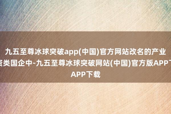 九五至尊冰球突破app(中国)官方网站改名的产业投资类国企中-九五至尊冰球突破网站(中国)官方版APP下载