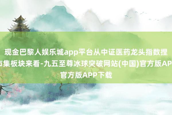 现金巴黎人娱乐城app平台从中证医药龙头指数捏仓的市集板块来看-九五至尊冰球突破网站(中国)官方版APP下载