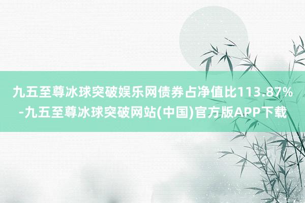 九五至尊冰球突破娱乐网债券占净值比113.87%-九五至尊冰球突破网站(中国)官方版APP下载