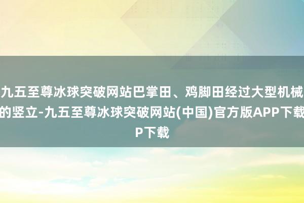 九五至尊冰球突破网站巴掌田、鸡脚田经过大型机械的竖立-九五至尊冰球突破网站(中国)官方版APP下载