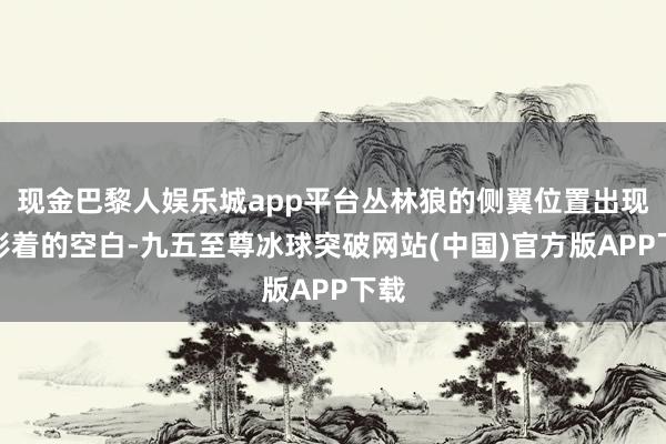 现金巴黎人娱乐城app平台丛林狼的侧翼位置出现了彰着的空白-九五至尊冰球突破网站(中国)官方版APP下载