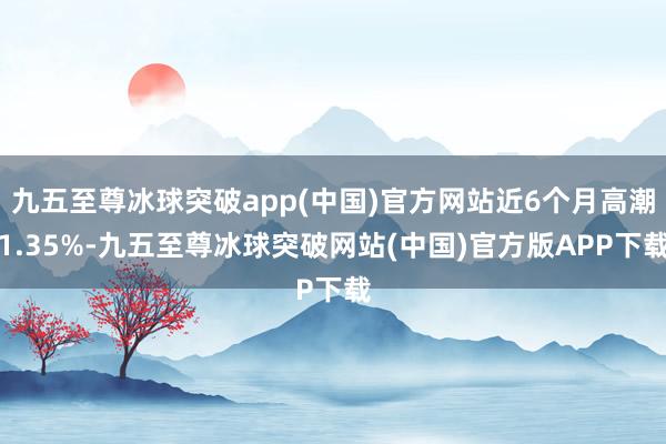 九五至尊冰球突破app(中国)官方网站近6个月高潮1.35%-九五至尊冰球突破网站(中国)官方版APP下载