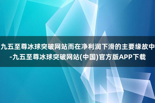 九五至尊冰球突破网站而在净利润下滑的主要缘故中-九五至尊冰球突破网站(中国)官方版APP下载