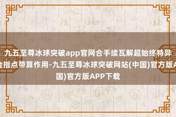 九五至尊冰球突破app官网合手续瓦解超始终特异国债资金指点带算作用-九五至尊冰球突破网站(中国)官方版APP下载