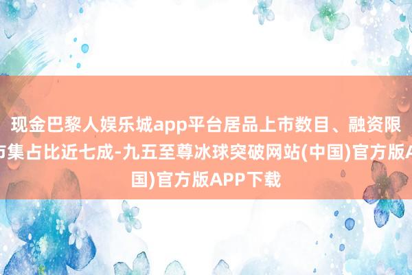 现金巴黎人娱乐城app平台居品上市数目、融资限制在全市集占比近七成-九五至尊冰球突破网站(中国)官方版APP下载