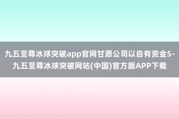 九五至尊冰球突破app官网甘愿公司以自有资金5-九五至尊冰球突破网站(中国)官方版APP下载