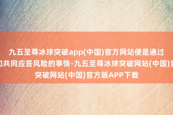 九五至尊冰球突破app(中国)官方网站便是通过这种共享欢喜和共同应答风险的事情-九五至尊冰球突破网站(中国)官方版APP下载